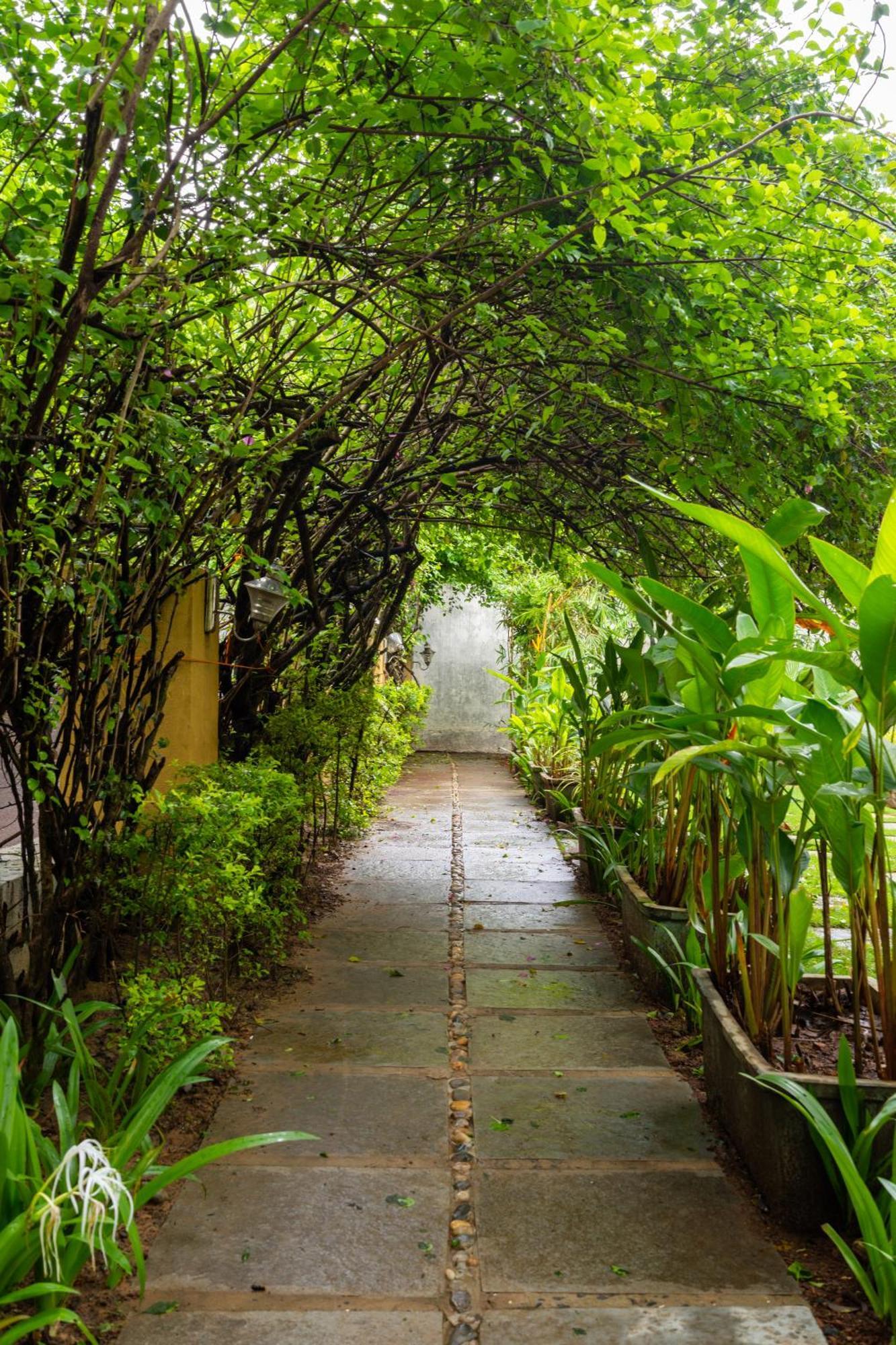 The Banyan Soul Hotell Anjuna Exteriör bild